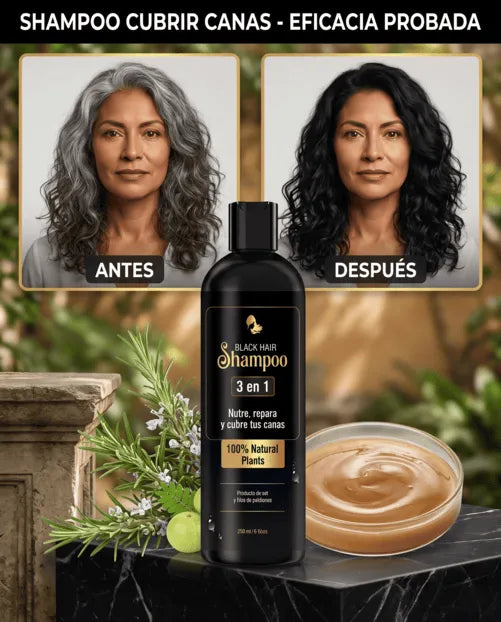 Shampoo BLACK HAIR 3 en 1 Anticanas